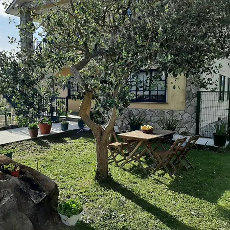 As Carballas Apartment Caldas De Reis